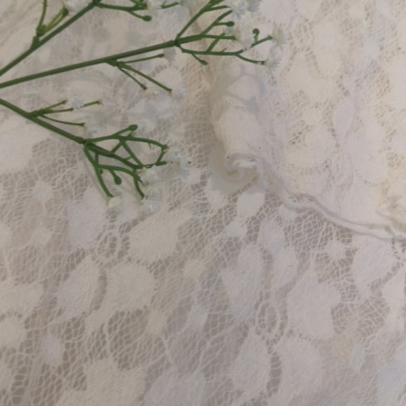 Anna Bella Lace 3/4 Sleeve Top - Picture 3 of 5